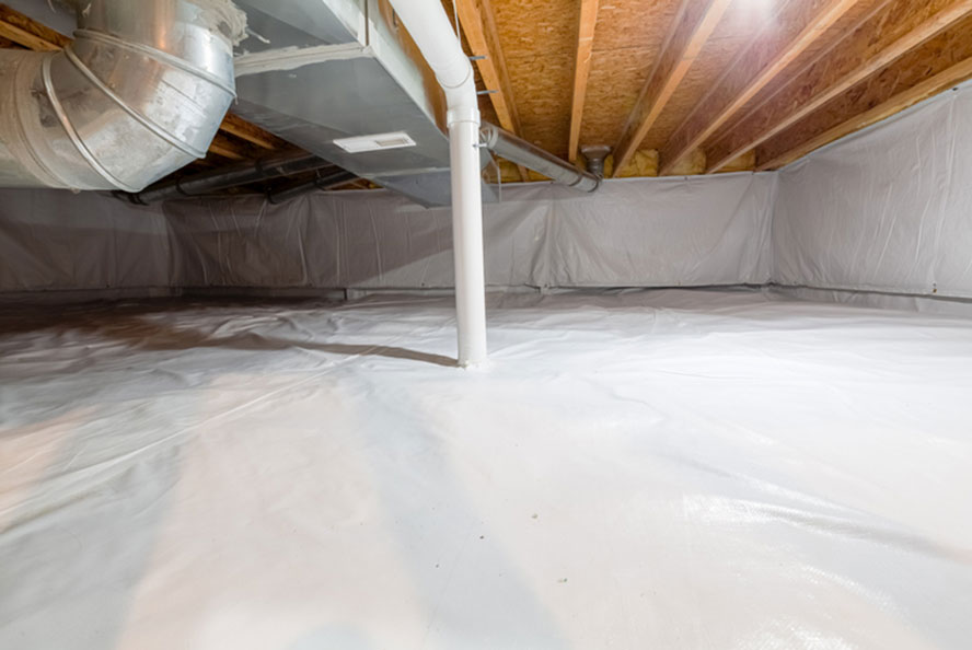 Damp Basement or Crawlspace Solutions