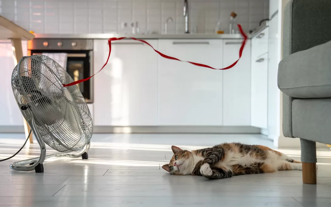 If Your Heat Pump Does Not Cool, Here’s How to Get Back to Comfort