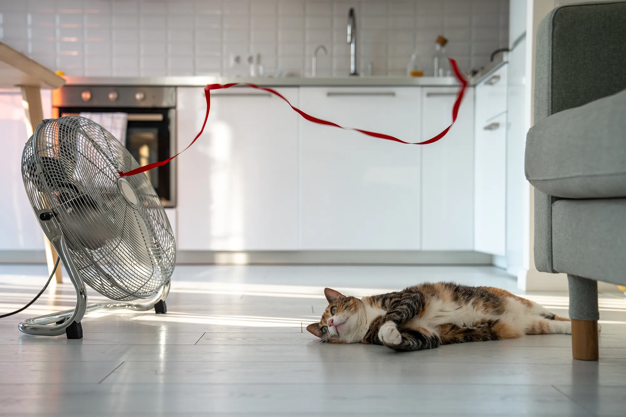 if your heat pump does not cool, here's how to get back to comfort.